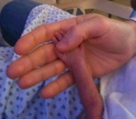 get-attachment.aspx (1)