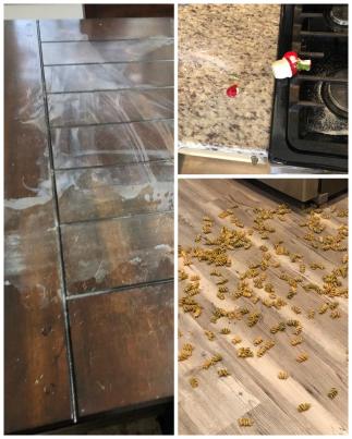 56631960_867487713590845_2262045084507701248_n