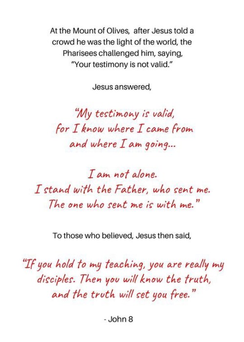 67402262_942010302805252_6411186554202488832_n