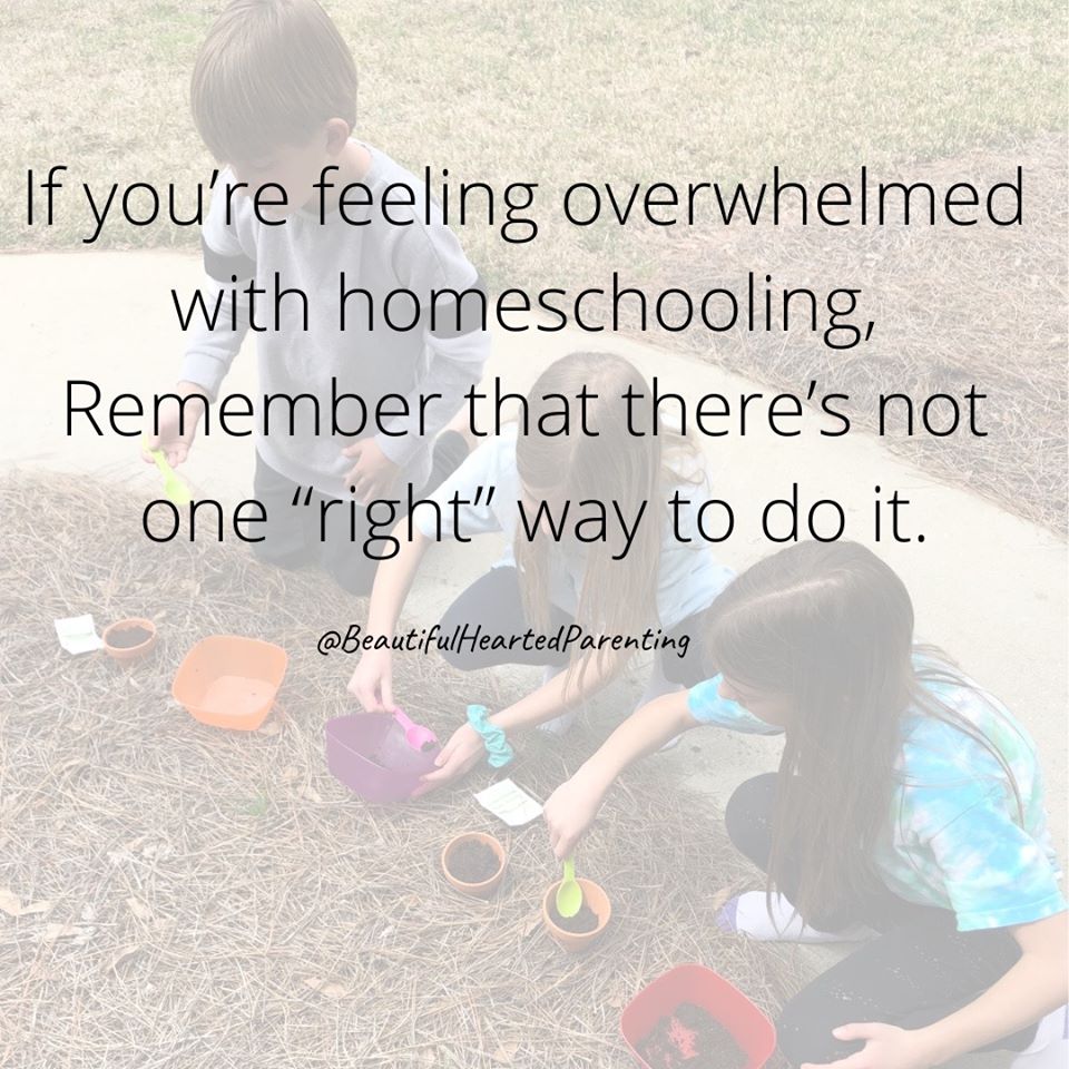 89848672_1126219587717655_2958655197569613824_o