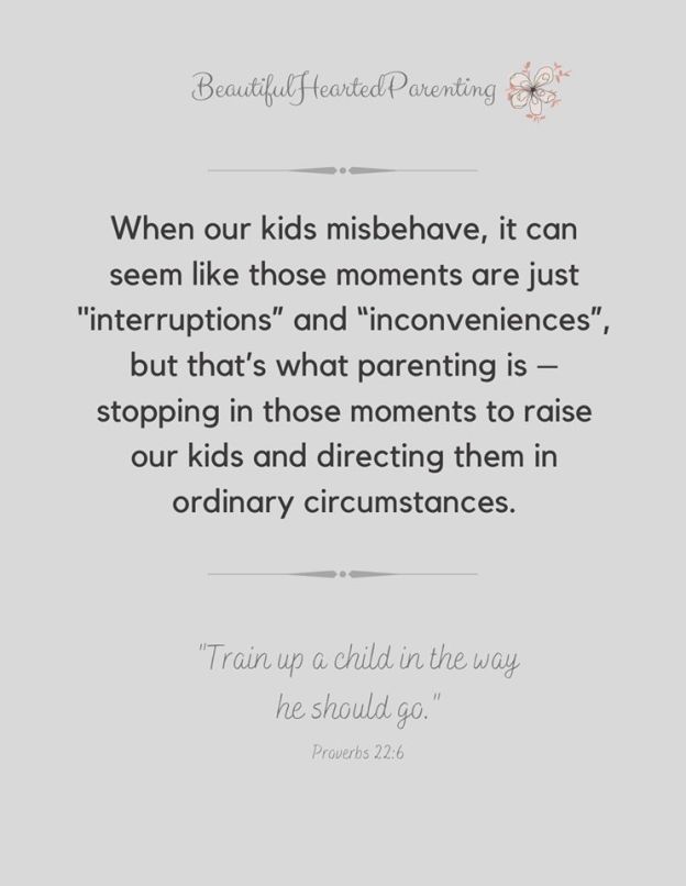 103170711_1191443627861917_6372087110507210444_o