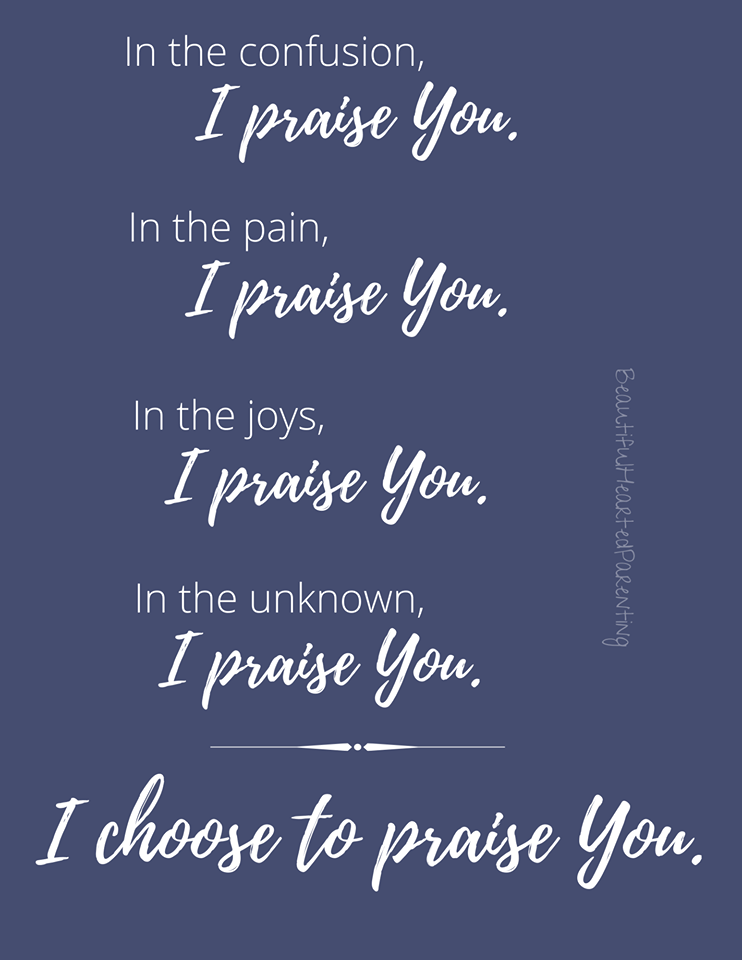 116728252_1231660240506922_2612848551868612292_o