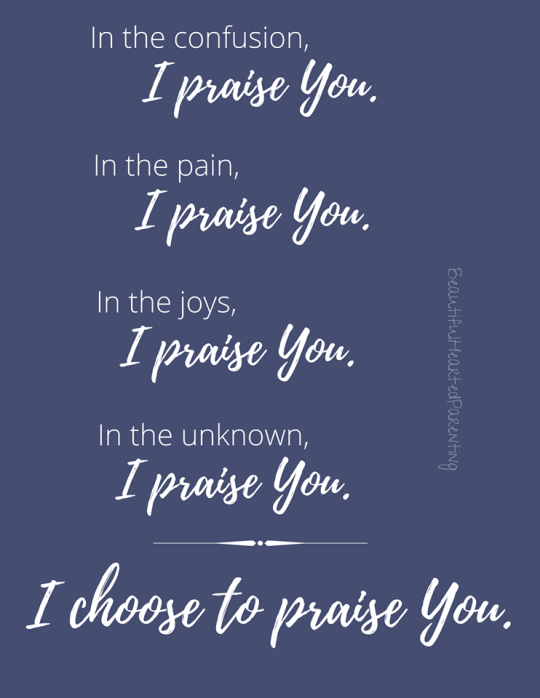 116728252_1231660240506922_2612848551868612292_o